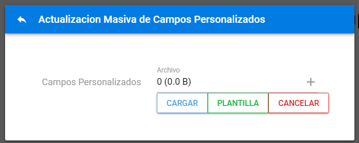 Pantalla de carga masiva de campos personalizados